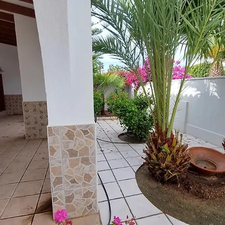 Vera Albacora Iv Los Amarguillos